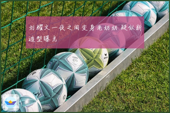 刘耀文一夜之间变身老奶奶 疑似新造型曝光