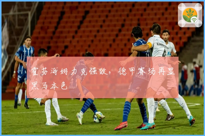 霍芬海姆力克强敌，德甲赛场再显黑马本色